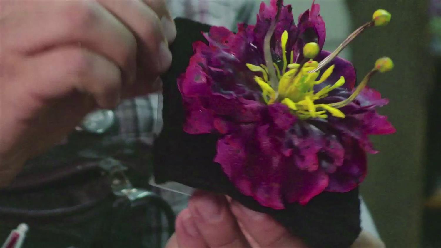 Inside Haven: S4, Ep. 9 - The Flower Inside Haven: S4, Ep. 9 - The Flower