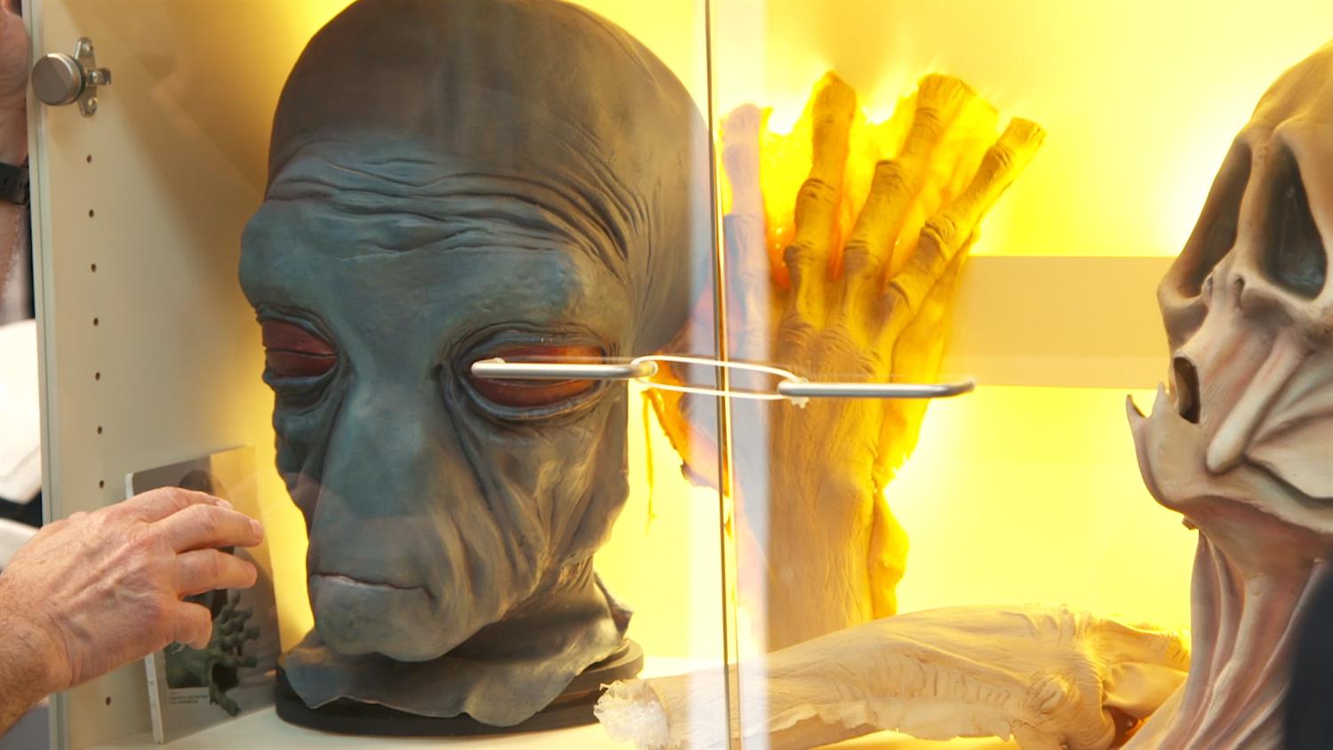 Tour the World's Largest Star Wars Collection Tour the World's Largest Star Wars Collection