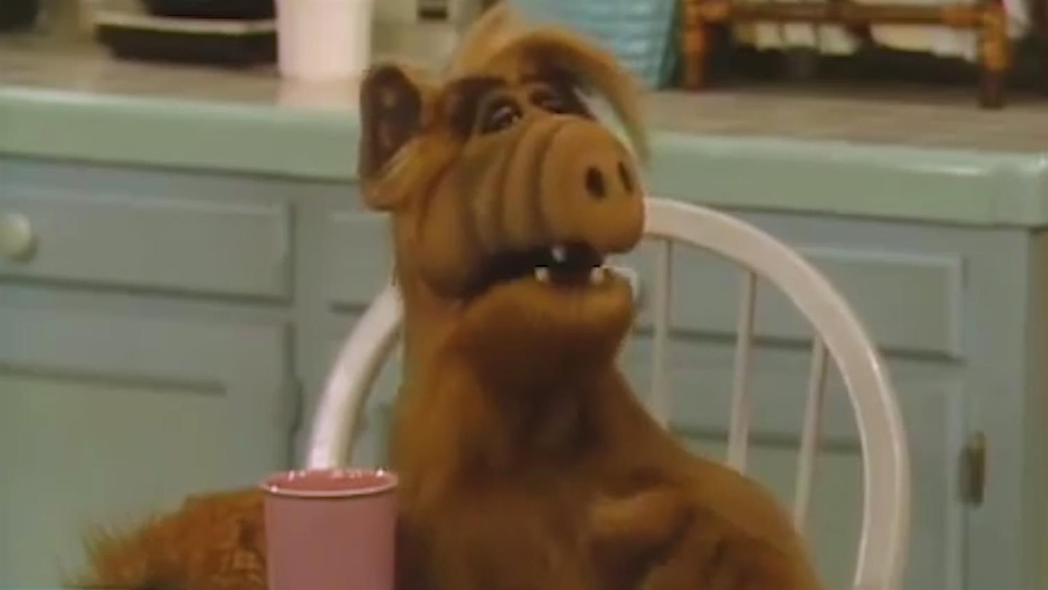 Alf: Everything You Didn't Know Alf: Everything You Didn't Know