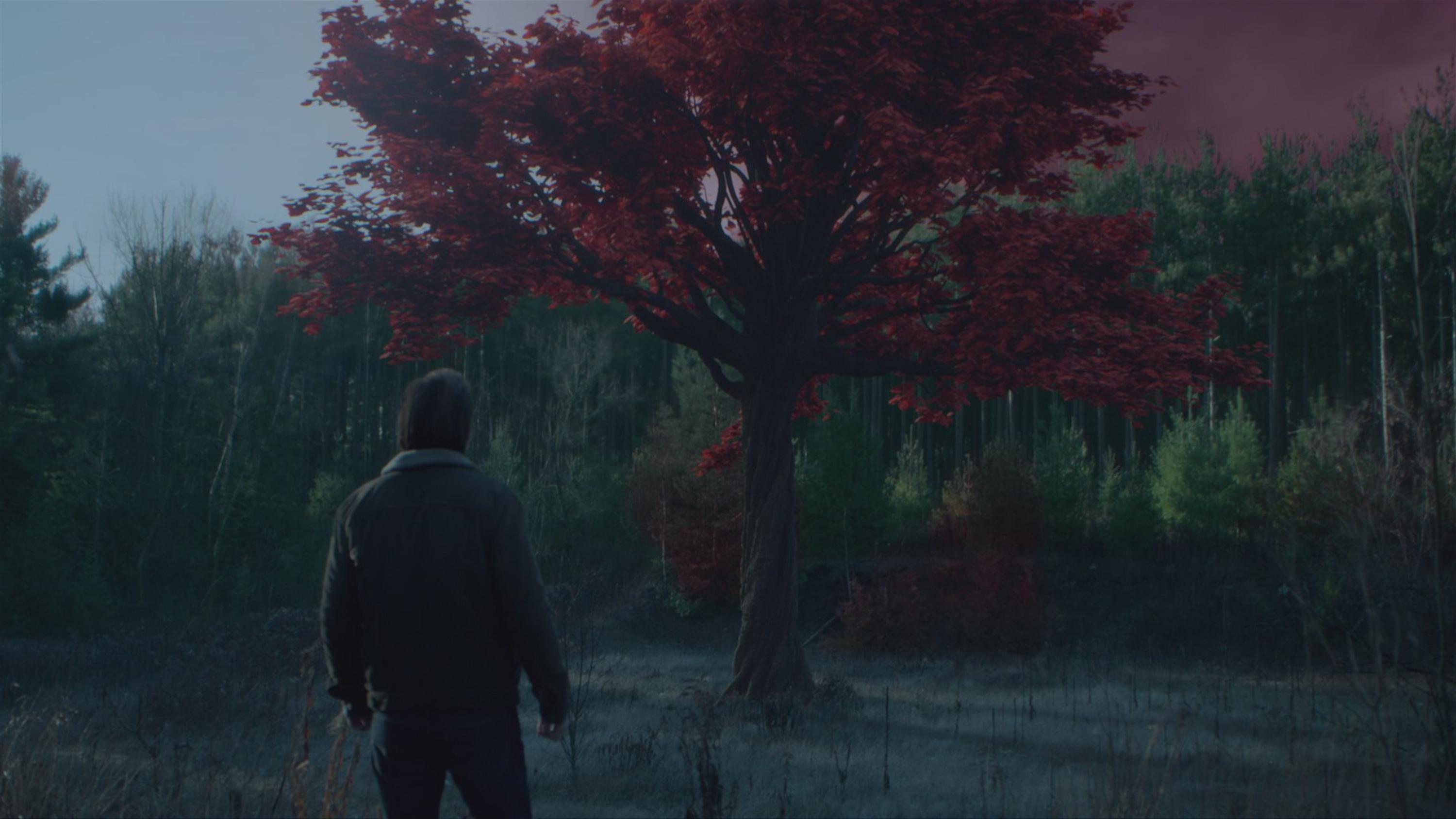 12 monkeys series where to watch season 1