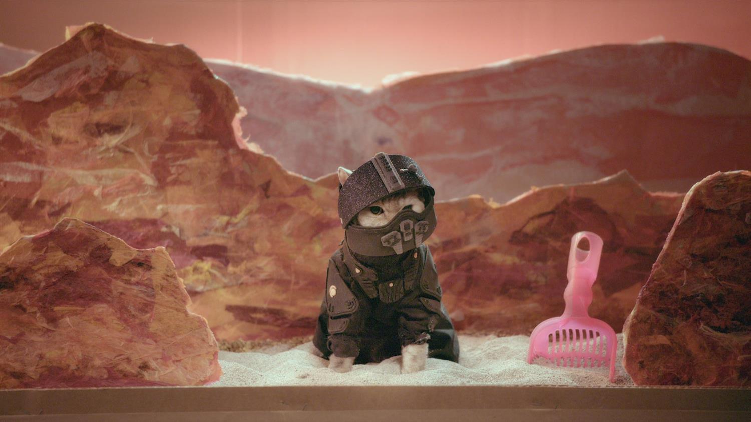 The Expanse Recat The Expanse Recat
