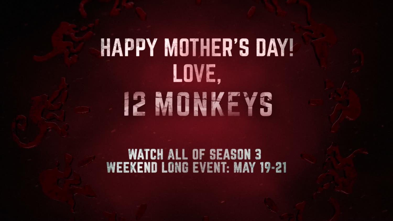 Happy Mother's Day From 12 Monkeys Happy Mother's Day From 12 Monkeys